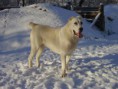 /album/fotogaleria/mix-125-jpg/
